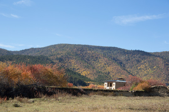 香格里拉鄉(xiāng)村秋色