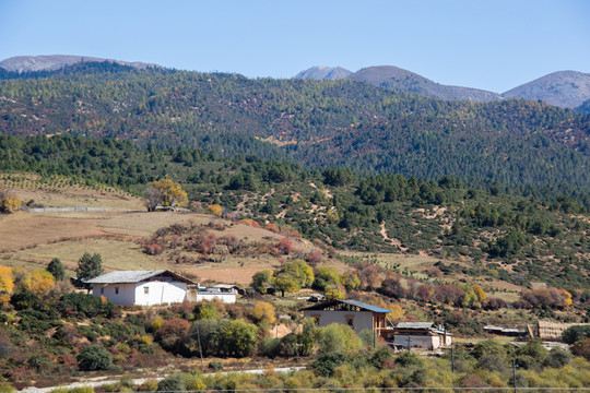 香格里拉鄉(xiāng)村秋色