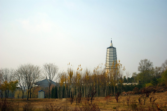 沈陽(yáng)塔灣舍利塔
