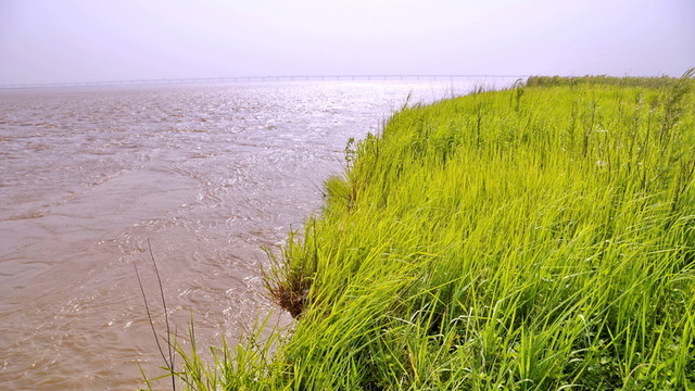 黃河岸邊
