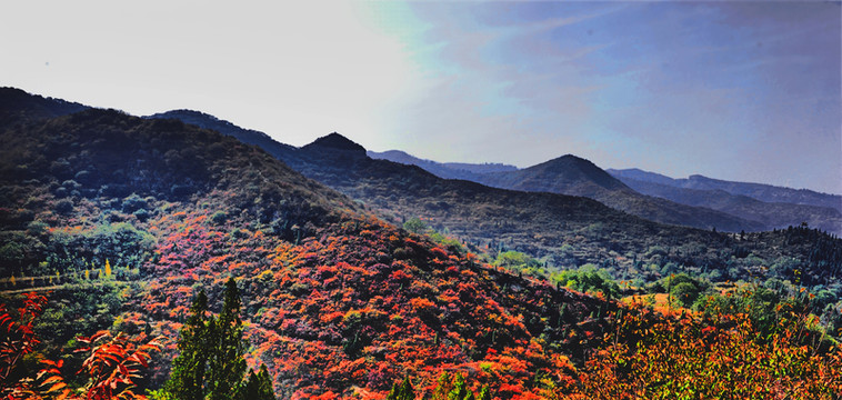 秋色 山川（非高清）