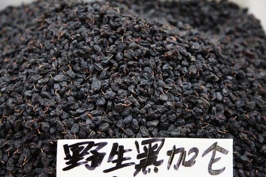 野生黑加侖葡萄干