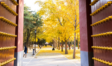 北京地壇