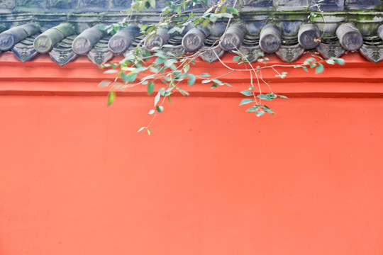 寺廟紅墻