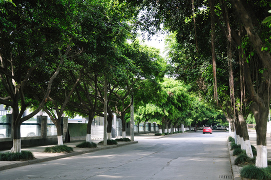 馬路