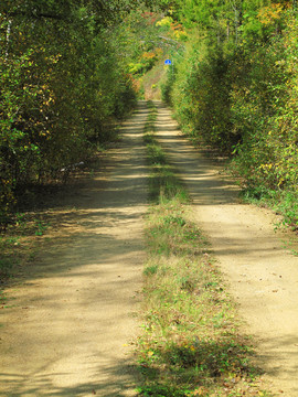 山路