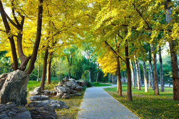 日壇公園 秋景