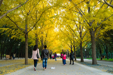 地壇公園 秋天游園