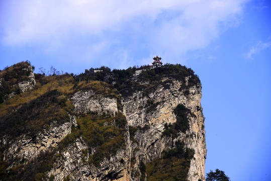 老界嶺風(fēng)光