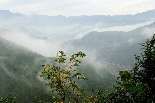秋色 秋景 秋天