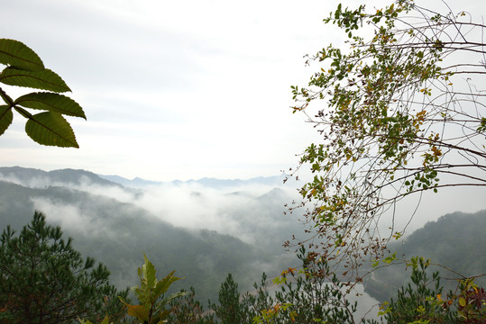 秋景 秋色