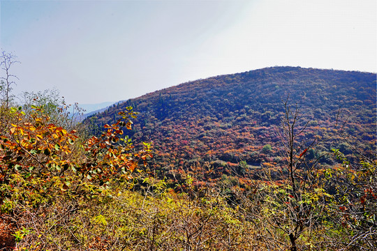 秋色 山川（高清）