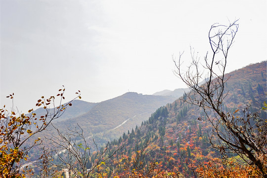 秋色 山川（高清）