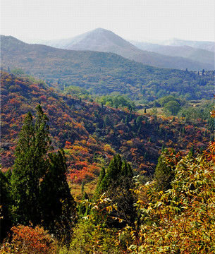 秋色 山川（高清）