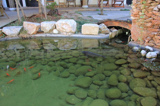 魚塘