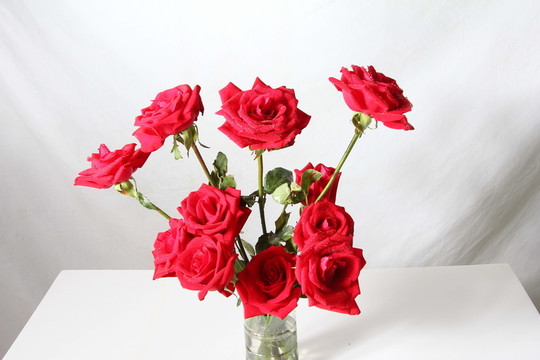 玫瑰花