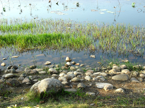 河邊風(fēng)光