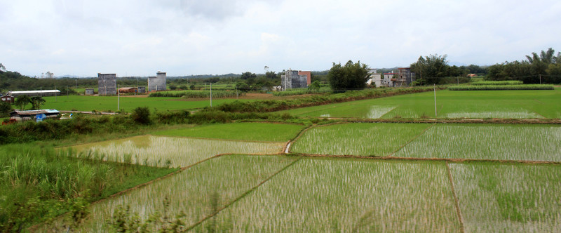鄉(xiāng)村風景