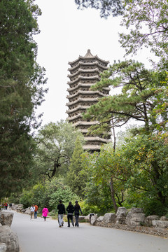 北京大學(xué) 博雅塔