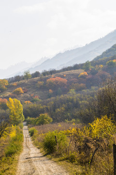 山間小路