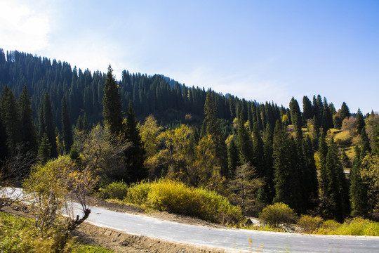 高山公路