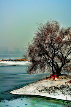 雪景
