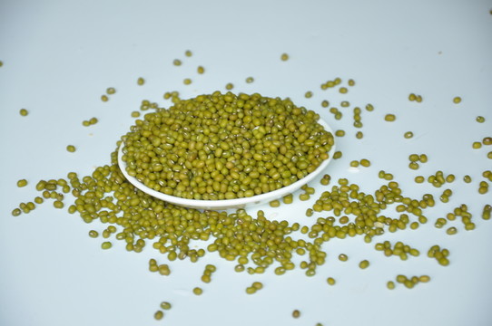 綠豆 綠豆素材