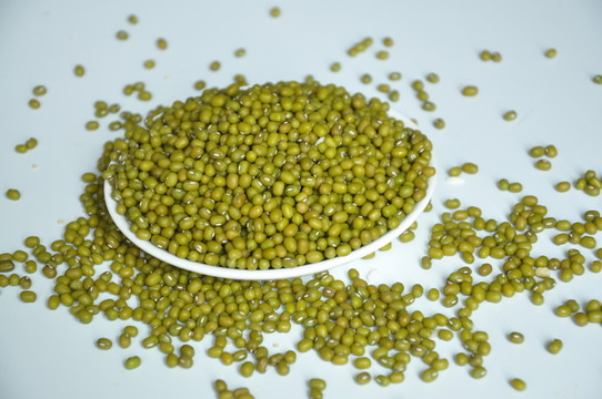 綠豆素材  綠豆