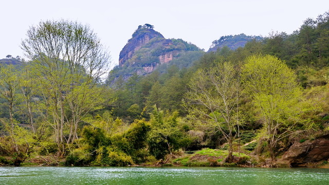 武夷山風光