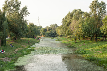 奧林匹克森林公園