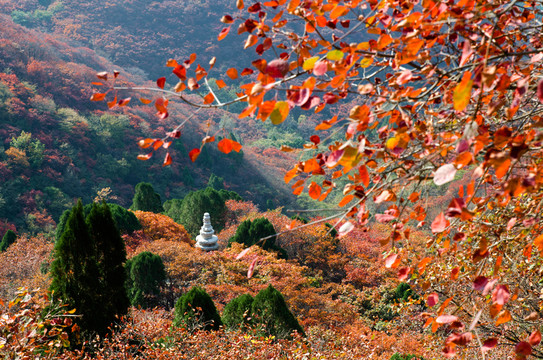 石門坊紅葉