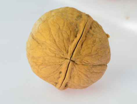核桃