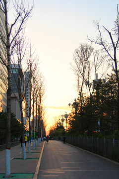 城市 街景