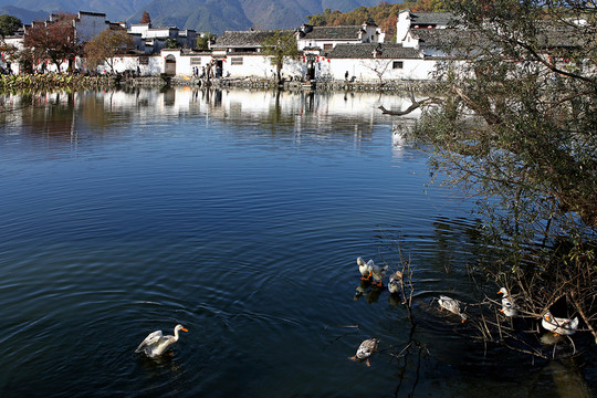 宏村