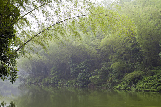 蜀南竹海海中海