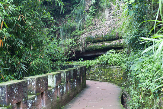 蜀南竹海仙寓洞棧道