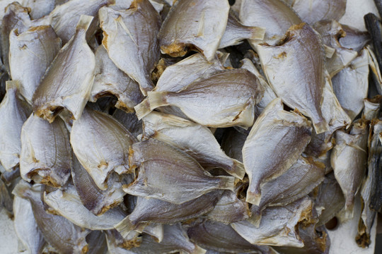 魚干