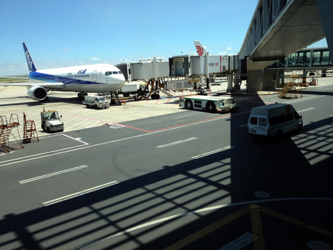 停機坪 機場 飛機
