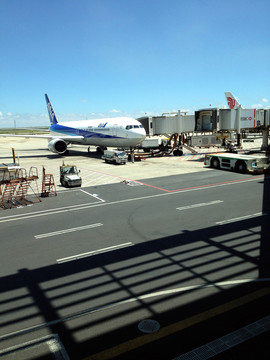 停機(jī)坪 機(jī)場(chǎng) 飛機(jī)