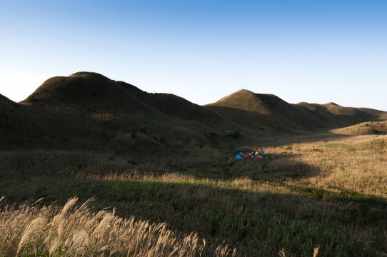 高山草甸