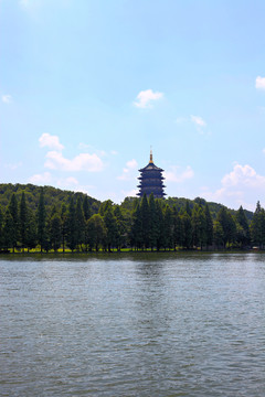 綠樹