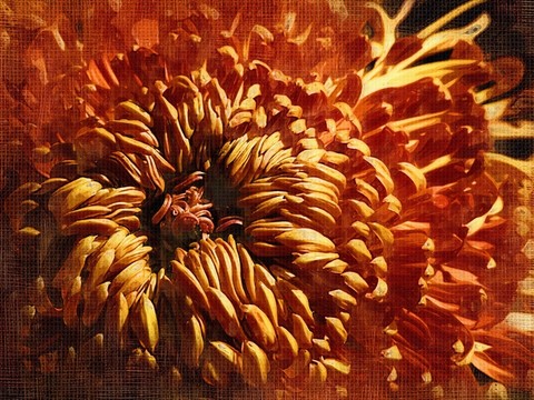 裝飾畫(huà)