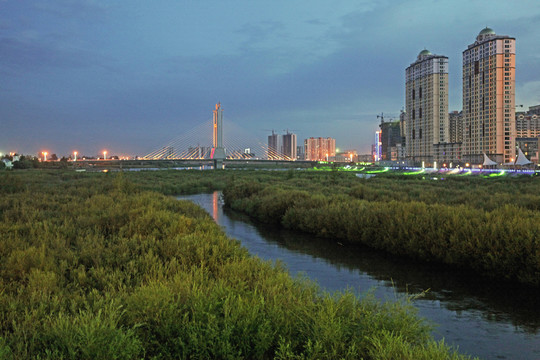 草原城市海拉爾夜色