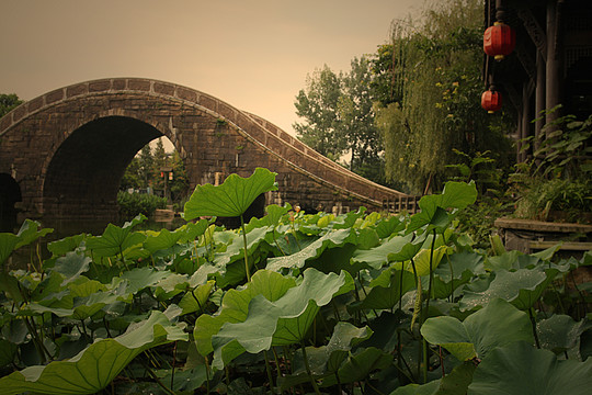 黃龍溪古鎮(zhèn)