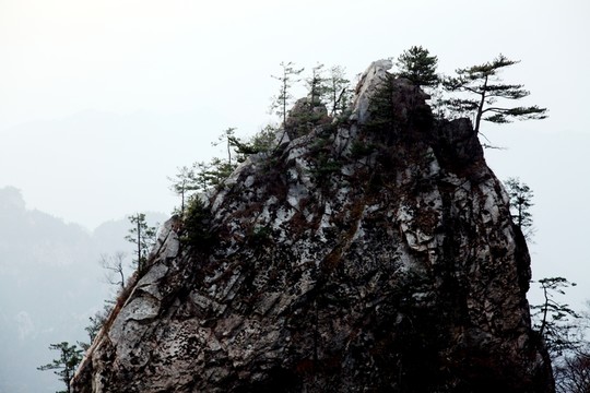 伏牛山老界嶺風(fēng)光