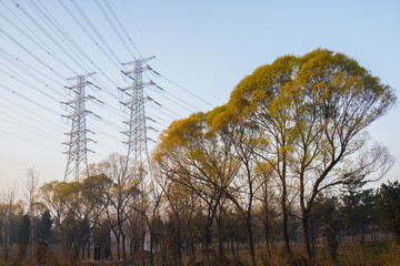 電壓線 電塔