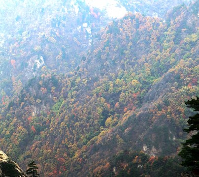 伏牛山老界嶺秋色風(fēng)光