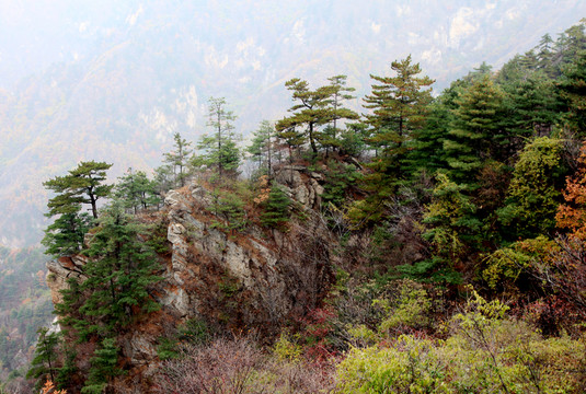 伏牛山老界嶺風(fēng)光