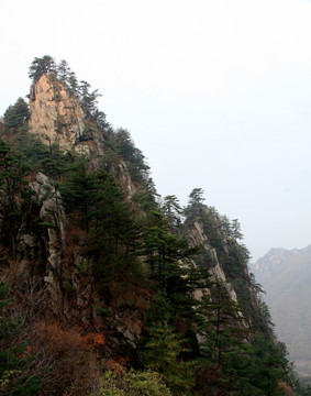 伏牛山老界嶺景區(qū)風(fēng)光