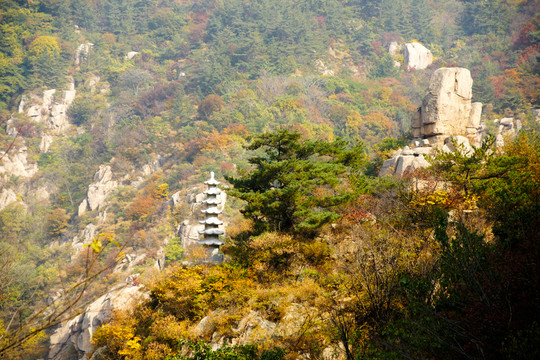 嶗山秋韻